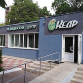 Кедр на Звездной