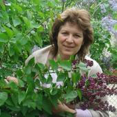 Соломатина Анна Петровна, детский психолог