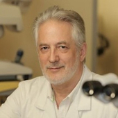 Татаренко Александр Вячеславович, офтальмолог-хирург