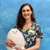 Шило Анастасия Михайловна, ортодонт