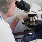 Пругова Светлана Анатольевна, врач функциональной диагностики