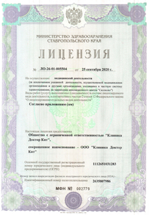 Лицензия или сертификат