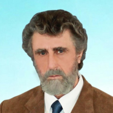 Семенов Сергей Петрович, психиатр