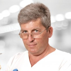 Шестопалов Сергей Иванович, гнатолог