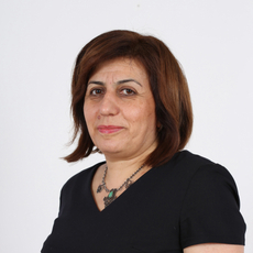 Махмудян Джамила Азизовна, терапевт