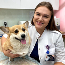 Панченко Ксения Сергеевна, ветеринар