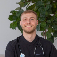 Мамедов Рустам Аликович, стоматолог-терапевт