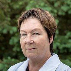 Чиркова Марина Анатольевна, терапевт