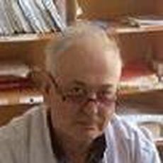 Ступин Вячеслав Владимирович, психиатр