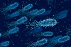 Самые опасные бактерии вокруг нас