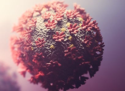 Как долго живут бактерии и вирусы вне организма человека?