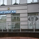 Стоматология Белый Слон на Петроградской