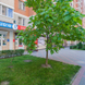 32 плюс, стоматологическая клиника