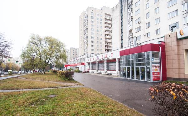 Айболит просп ленина 47а фото