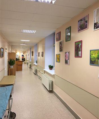 больница 68 сестрорецк. больницу №40 в сестрорецке. поликлиника 68 сестрорецк. больница 68 сестрорецк. больница 68 сестрорецк.