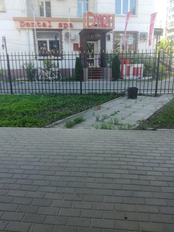 Стоматология «Д`Арт», Стоматологическая клиника