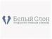 Белый Слон на Петроградской