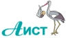 МЦ Аист