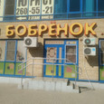 Бобрёнок на Космонавтов, фото №4