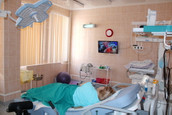 Роддом МОБ им.Розанова, фото №4