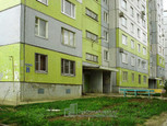 Ирбис на Мурысева, фото №2