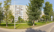 Молочный зуб на Архитектора Свиязева, фото №2
