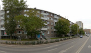 Чибис на Малкова, фото №2