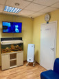 Детская поликлиника Бибирево на Корнейчука, фото №3