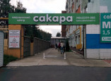 Сакара на Наугорском шоссе, фото №2