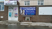 Флайдент на Репина, фото №3