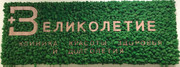 Великолетие на Молодежном, фото №4