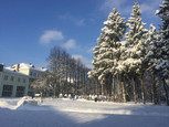Плёс, санаторий в Плесе, фото №2