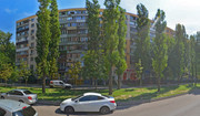 Радость на Зорге, фото №3