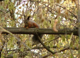 Санаторий Прокопьевский на Парковой, фото №4