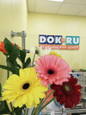 МЦ DOK.RU, фото №3