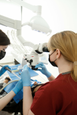 Стоматология Light Dental Group, фото №3