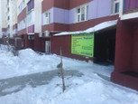 Вербена на Березовой, фото №2