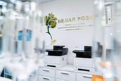 МЦ Белая роза, фото №2