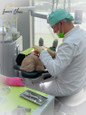 стоматология Lazar's Clinic, фото №3