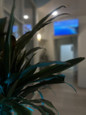 МЦ SAINT CLINIC, фото №2