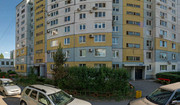 Ирбис на Мурысева, фото №4