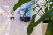 Медицинский центр AG Faber Medical Center, фото №4