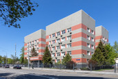 Major Clinic на Международной, фото №2