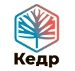 Кедр на Звездной