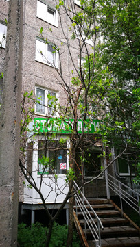 Арктикстомакс 2 на Кольском, фото №1