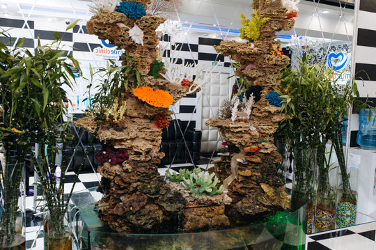 Стоматология Smile clinic, фото №1