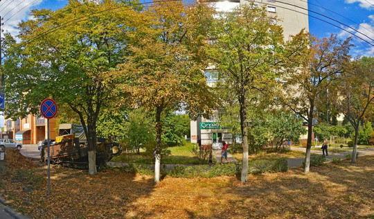 Гемотест на 8 марта, фото №1