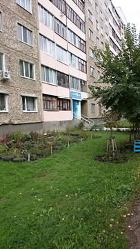 Альфа-дент на Островского, фото №1