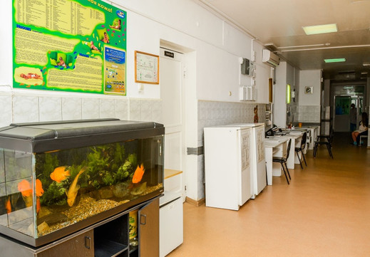 Роддом больницы № 5 на Пельше, фото №1