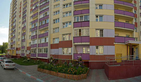 Вербена на Березовой, фото №1